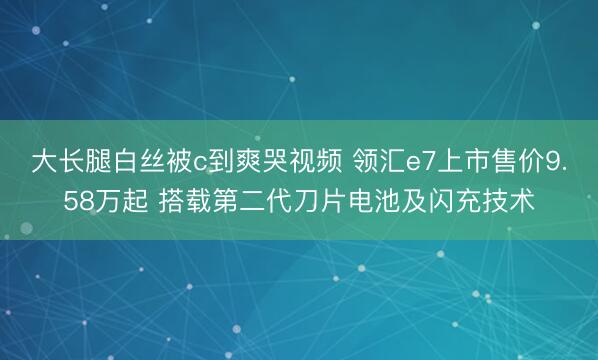 大长腿白丝被c到爽哭视频 领汇e7上市售价9.58万起 搭载第二代刀片电池及闪充技术