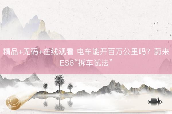 精品+无码+在线观看 电车能开百万公里吗？蔚来ES6“拆车试法”