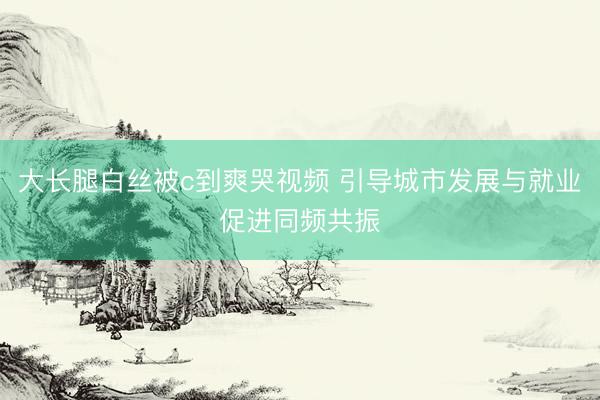大长腿白丝被c到爽哭视频 引导城市发展与就业促进同频共振