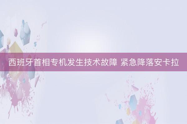西班牙首相专机发生技术故障 紧急降落安卡拉