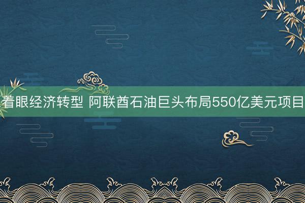 着眼经济转型 阿联酋石油巨头布局550亿美元项目