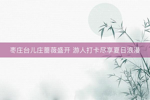 枣庄台儿庄蔷薇盛开 游人打卡尽享夏日浪漫