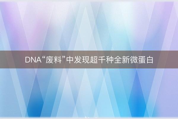DNA“废料”中发现超千种全新微蛋白