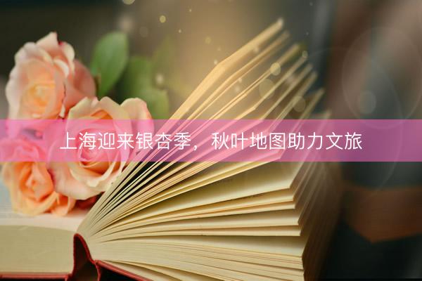 上海迎来银杏季，秋叶地图助力文旅