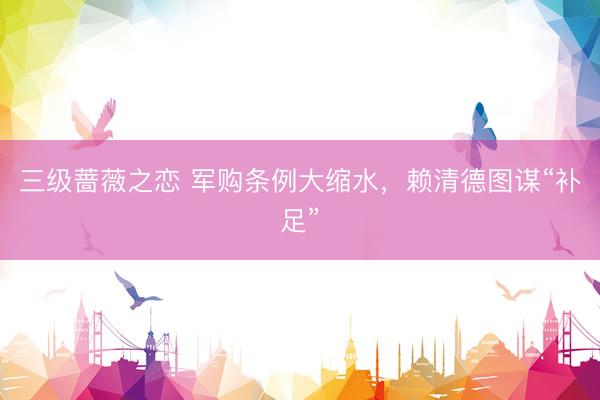 三级蔷薇之恋 军购条例大缩水，赖清德图谋“补足”