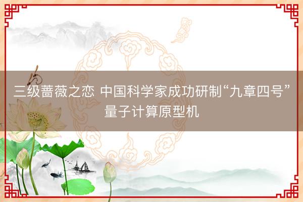 三级蔷薇之恋 中国科学家成功研制“九章四号”量子计算原型机