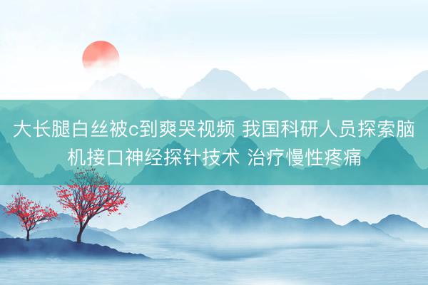 大长腿白丝被c到爽哭视频 我国科研人员探索脑机接口神经探针技术 治疗慢性疼痛