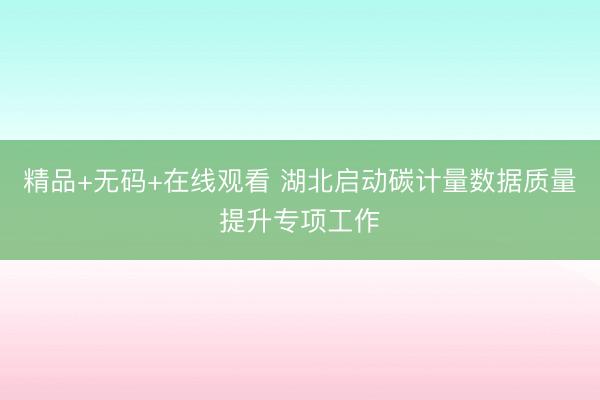 精品+无码+在线观看 湖北启动碳计量数据质量提升专项工作
