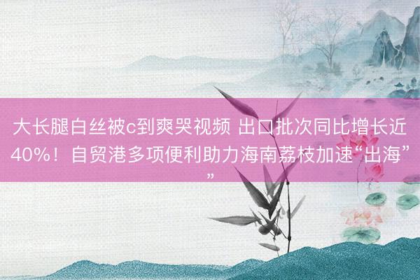 大长腿白丝被c到爽哭视频 出口批次同比增长近40%！自贸港多项便利助力海南荔枝加速“出海”