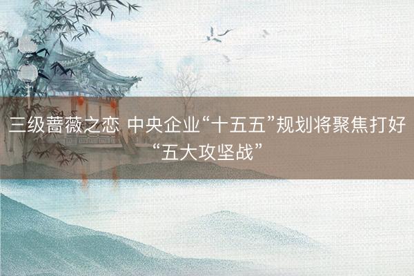 三级蔷薇之恋 中央企业“十五五”规划将聚焦打好“五大攻坚战”