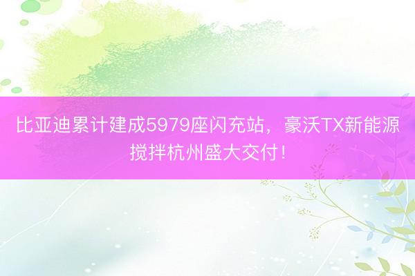 比亚迪累计建成5979座闪充站，豪沃TX新能源搅拌杭州盛大交付！