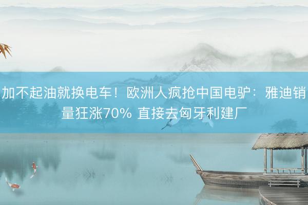 加不起油就换电车！欧洲人疯抢中国电驴：雅迪销量狂涨70% 直接去匈牙利建厂