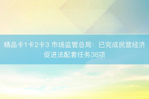 精品卡1卡2卡3 市场监管总局：已完成民营经济促进法配套任务38项
