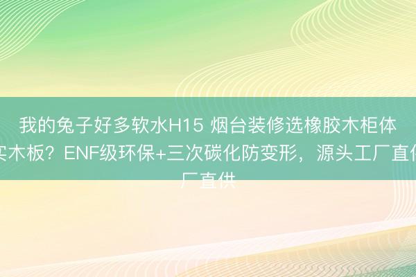 我的兔子好多软水H15 烟台装修选橡胶木柜体实木板？ENF级环保+三次碳化防变形，源头工厂直供