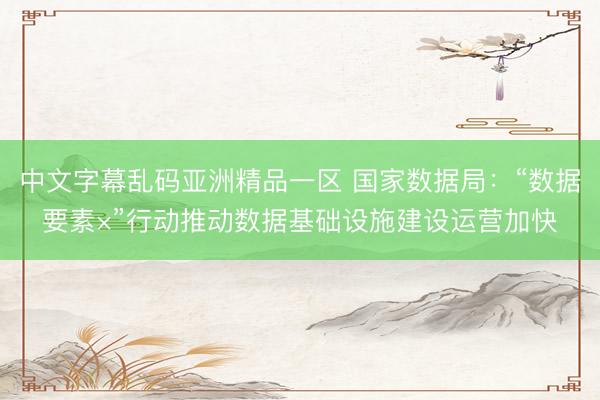 中文字幕乱码亚洲精品一区 国家数据局：“数据要素×”行动推动数据基础设施建设运营加快