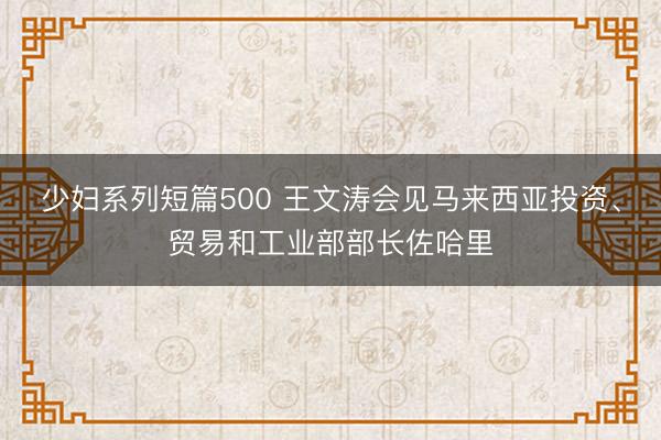 少妇系列短篇500 王文涛会见马来西亚投资、贸易和工业部部长佐哈里