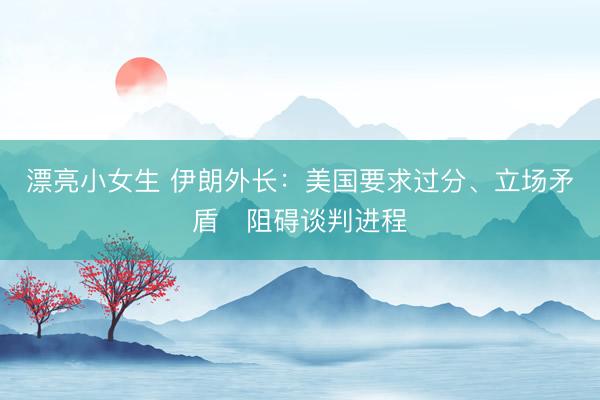 漂亮小女生 伊朗外长：美国要求过分、立场矛盾　阻碍谈判进程