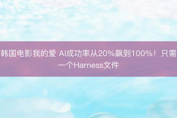 韩国电影我的爱 AI成功率从20%飙到100%！只需一个Harness文件