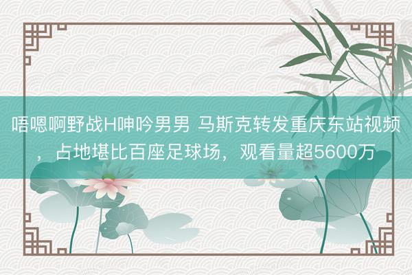 唔嗯啊野战H呻吟男男 马斯克转发重庆东站视频，占地堪比百座足球场，观看量超5600万
