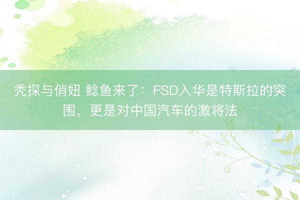 秃探与俏妞 鲶鱼来了：FSD入华是特斯拉的突围，更是对中国汽车的激将法