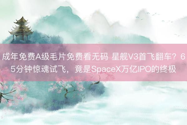 成年免费A级毛片免费看无码 星舰V3首飞翻车？65分钟惊魂试飞，竟是SpaceX万亿IPO的终极