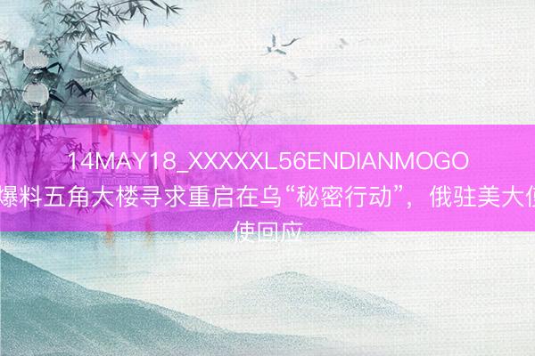 14MAY18_XXXXXL56ENDIANMOGO 美媒爆料五角大楼寻求重启在乌“秘密行动”，俄驻美大使回应