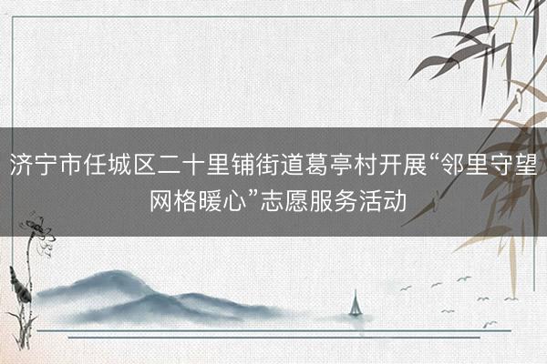 济宁市任城区二十里铺街道葛亭村开展“邻里守望 网格暖心”志愿服务活动