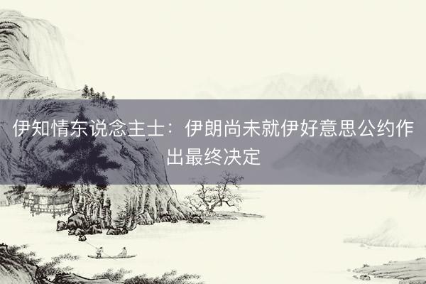 伊知情东说念主士:伊朗尚未就伊好意思公约作出最终决定