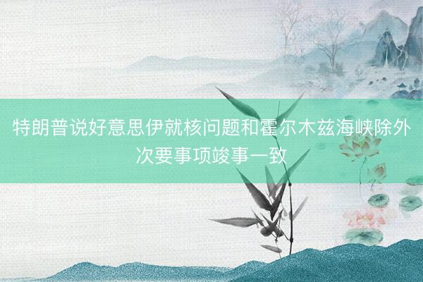 特朗普说好意思伊就核问题和霍尔木兹海峡除外次要事项竣事一致