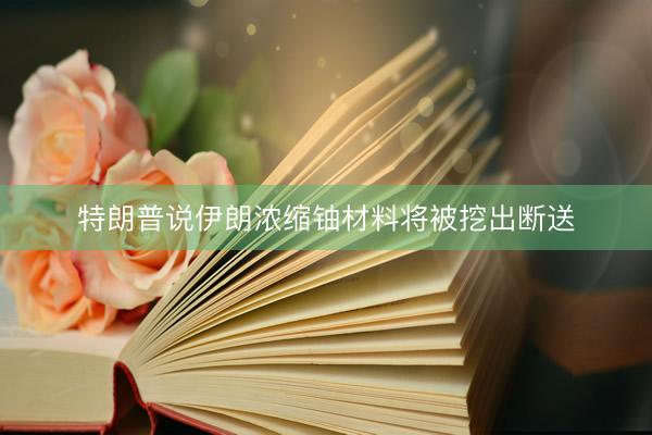 特朗普说伊朗浓缩铀材料将被挖出断送