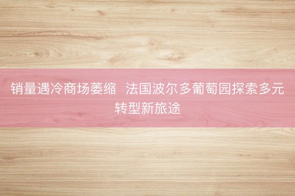 销量遇冷商场萎缩 法国波尔多葡萄园探索多元转型新旅途