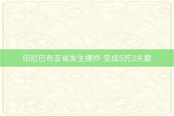 印尼巴布亚省发生爆炸 变成5死3失散