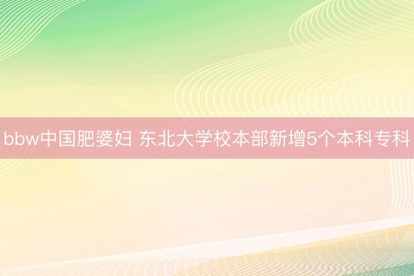 bbw中国肥婆妇 东北大学校本部新增5个本科专科