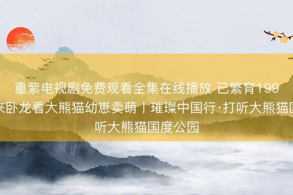 重紫电视剧免费观看全集在线播放 已繁育199只崽！来卧龙看大熊猫幼崽卖萌丨璀璨中国行·打听大熊猫国度公园