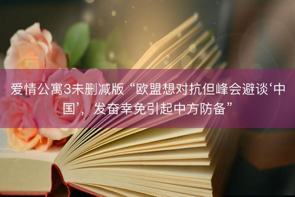 爱情公寓3未删减版 “欧盟想对抗但峰会避谈‘中国’，发奋幸免引起中方防备”