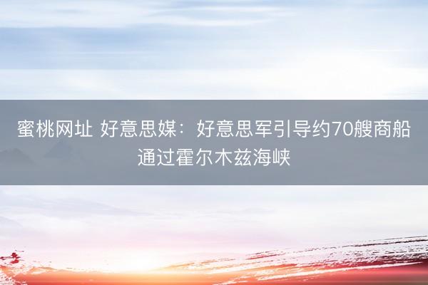 蜜桃网址 好意思媒：好意思军引导约70艘商船通过霍尔木兹海峡