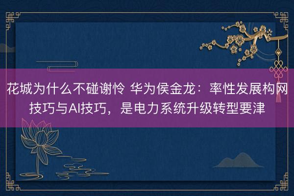 花城为什么不碰谢怜 华为侯金龙：率性发展构网技巧与AI技巧，是电力系统升级转型要津