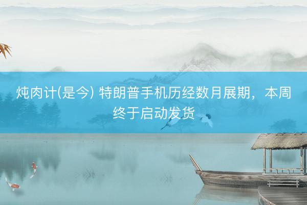 炖肉计(是今) 特朗普手机历经数月展期，本周终于启动发货