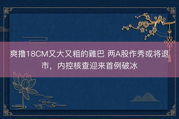爽擼18CM又大又粗的雞巴 两A股作秀或将退市，内控核查迎来首例破冰