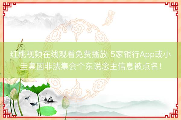 红桃视频在线观看免费播放 5家银行App或小圭臬因非法集会个东说念主信息被点名！