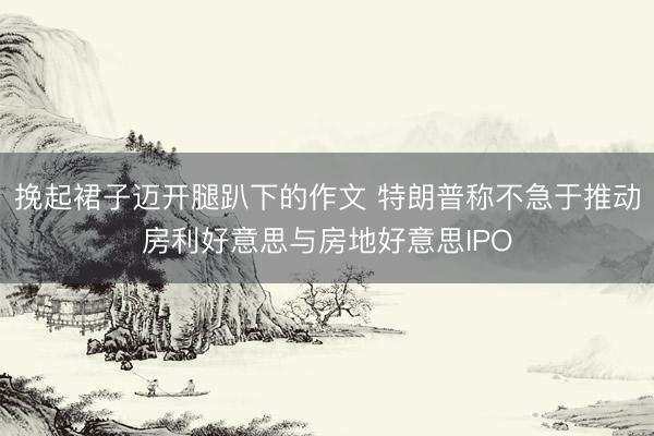 挽起裙子迈开腿趴下的作文 特朗普称不急于推动房利好意思与房地好意思IPO