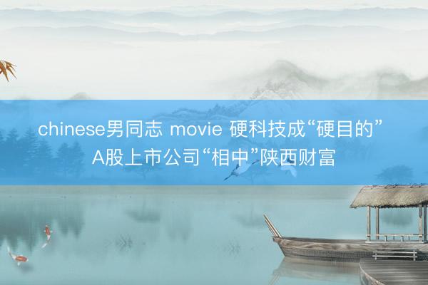 chinese男同志 movie 硬科技成“硬目的” A股上市公司“相中”陕西财富