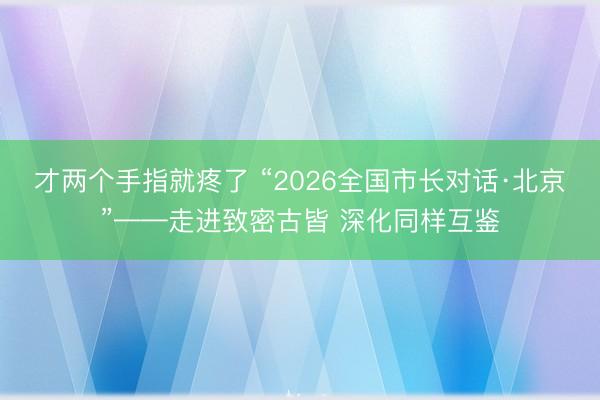 才两个手指就疼了 “2026全国市长对话·北京”——走进致密古皆 深化同样互鉴