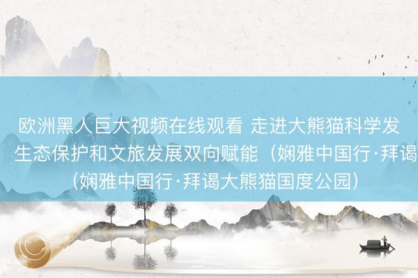 欧洲黑人巨大视频在线观看 走进大熊猫科学发现地四川宝兴县，生态保护和文旅发展双向赋能（娴雅中国行·拜谒大熊猫国度公园）