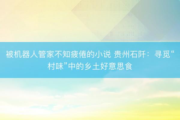 被机器人管家不知疲倦的小说 贵州石阡:寻觅“村味”中的乡土好意思食