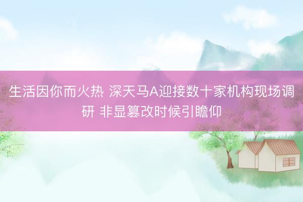 生活因你而火热 深天马A迎接数十家机构现场调研 非显篡改时候引瞻仰