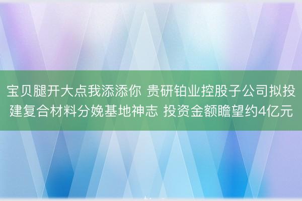 宝贝腿开大点我添添你 贵研铂业控股子公司拟投建复合材料分娩基地神志 投资金额瞻望约4亿元