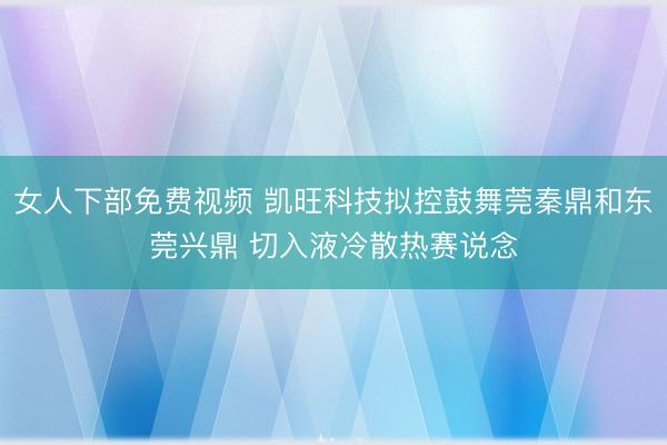 女人下部免费视频 凯旺科技拟控鼓舞莞秦鼎和东莞兴鼎 切入液冷散热赛说念