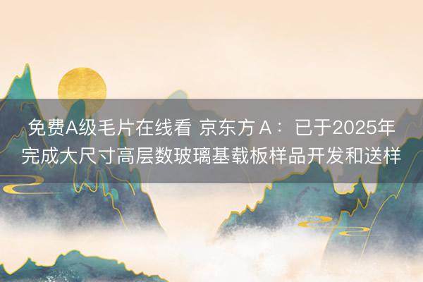 免费A级毛片在线看 京东方Ａ：已于2025年完成大尺寸高层数玻璃基载板样品开发和送样