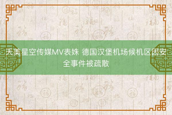 天美星空传媒MV表姝 德国汉堡机场候机区因安全事件被疏散